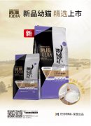 爵加新品幼貓精選上市！