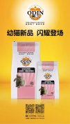 奧丁精品幼貓糧閃耀登場(chǎng)?。?！