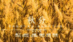 秋分丨晝夜分畫(huà)，漸入秋華