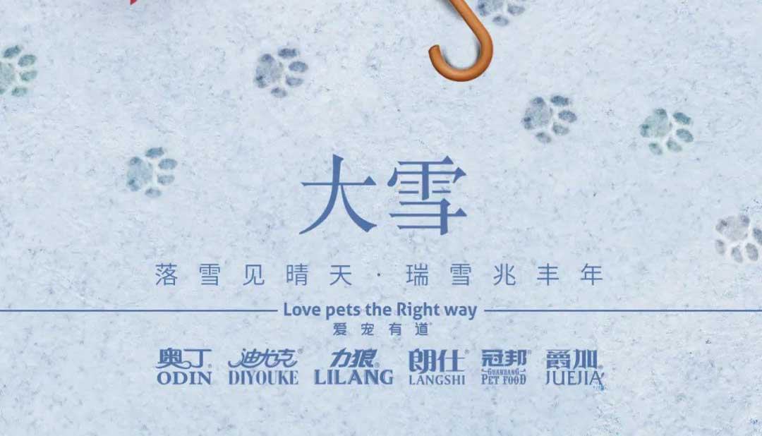 大雪丨雪落知寒意 久伴見(jiàn)初心！