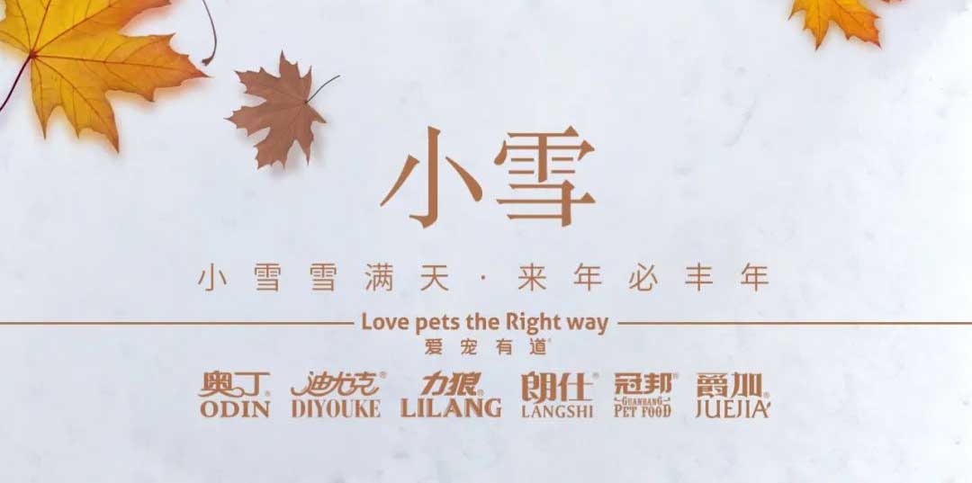 小雪丨天地初寒，歲月安暖